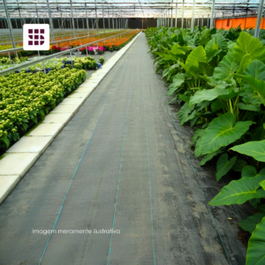 Ráfia de solo carijó